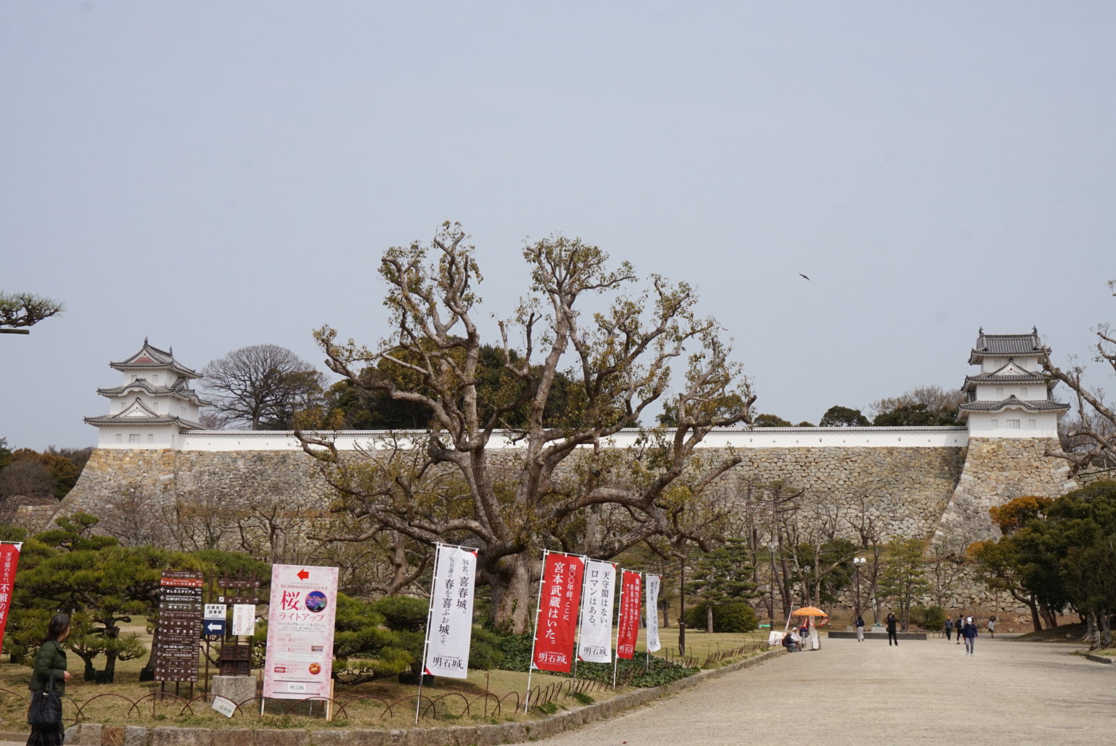 AndyHotDog 分享的打卡照片